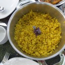 Safranreis mit Gartendeko